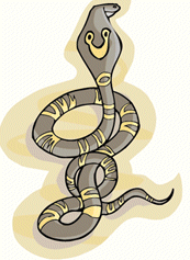 Dieren Slangen Dieren plaatjes 