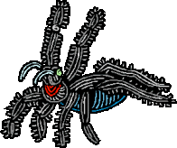 Dieren Spinnen Dieren plaatjes 