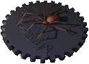 Dieren Spinnen Dieren plaatjes 