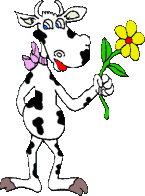 Dieren Dieren plaatjes Stier 