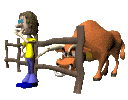 Dieren Dieren plaatjes Stier 