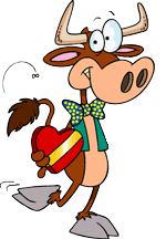 Dieren Dieren plaatjes Stier 