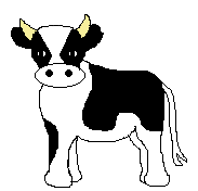 Dieren Dieren plaatjes Stier 