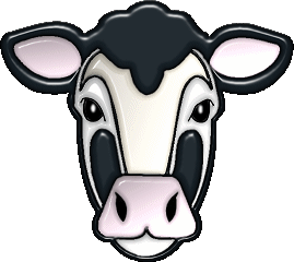 Dieren Dieren plaatjes Stier 