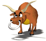 Dieren Dieren plaatjes Stier 