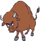 Dieren Dieren plaatjes Stier 