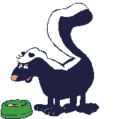 Dieren Dieren plaatjes Stinkdier 