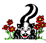 Dieren Dieren plaatjes Stinkdier 