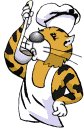 Dieren Tijger Dieren plaatjes 
