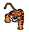 Dieren Tijger Dieren plaatjes 