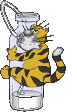 Dieren Tijger Dieren plaatjes 