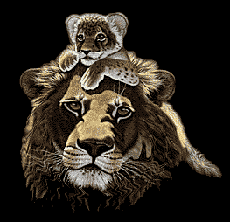 Dieren Tijger Dieren plaatjes 