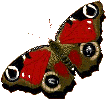 Dieren Vlinders Dieren plaatjes 