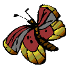 Dieren Vlinders Dieren plaatjes Vlinder Met Grijs Rood En Gele Kleuren