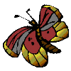 Dieren Vlinders Dieren plaatjes Vlinder Met Grijs Rood En Gele Kleuren