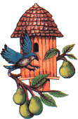 Dieren Vogelhuisje Dieren plaatjes 