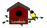 Dieren Vogelhuisje Dieren plaatjes 