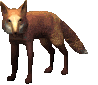 Dieren Vossen Dieren plaatjes 