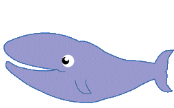 Dieren Walvis Dieren plaatjes 