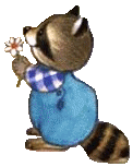 Dieren Dieren plaatjes Wasbeer 