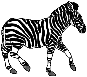 Dieren Zebra Dieren plaatjes 