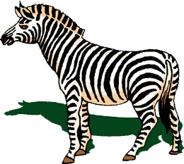 Dieren Zebra Dieren plaatjes 