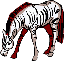 Dieren Zebra Dieren plaatjes 