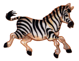 Dieren Zebra Dieren plaatjes 