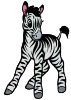 Dieren Zebra Dieren plaatjes 