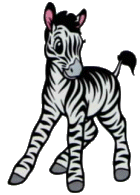 Dieren Zebra Dieren plaatjes 