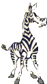Dieren Zebra Dieren plaatjes 