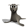 Dieren Dieren plaatjes Zeehond 