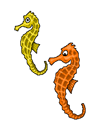 Dieren Dieren plaatjes Zeepaard 