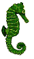 Dieren Dieren plaatjes Zeepaard 
