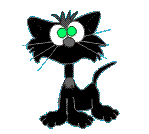 Dieren Zwarte kat Dieren plaatjes 