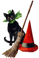 Dieren Zwarte kat Dieren plaatjes 