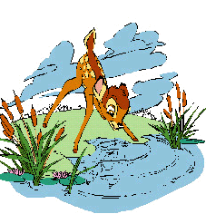 Bambi Disney plaatjes Bambi Ontdekt Water En Spiegelbeeld