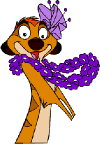 De leeuwenkoning Disney plaatjes Timon Bloemen Ketting Leeuwenkoning