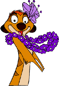 De leeuwenkoning Disney plaatjes Timon Bloemen Ketting Leeuwenkoning