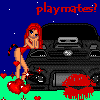 Dollz plaatjes Dollz msn plaatjes 