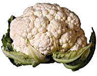Eten en drinken Eten en drinken plaatjes Bloemkool 