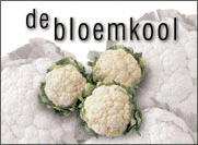 Eten en drinken Eten en drinken plaatjes Bloemkool Bloemkool