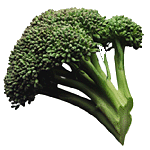 Eten en drinken Eten en drinken plaatjes Broccoli 