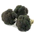 Eten en drinken Eten en drinken plaatjes Broccoli Groente