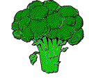 Eten en drinken Eten en drinken plaatjes Broccoli 