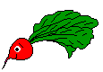 Eten en drinken Fruit Eten en drinken plaatjes 