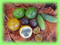 Eten en drinken Fruit Eten en drinken plaatjes 