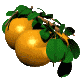 Eten en drinken Fruit Eten en drinken plaatjes 