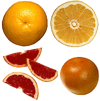 Eten en drinken Grapefruit Eten en drinken plaatjes 