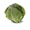 Eten en drinken Eten en drinken plaatjes Kool Sla